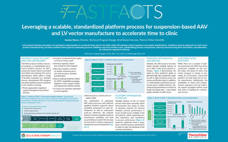 Leveraging a scalable, standardized platform process for suspension-based AAV and LV vector manufacture to accelerate time to clinic