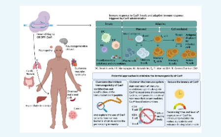 Unravelling immunogenicity induced by Cas9 in gene therapy: a comprehensive commentary of current understanding and implications