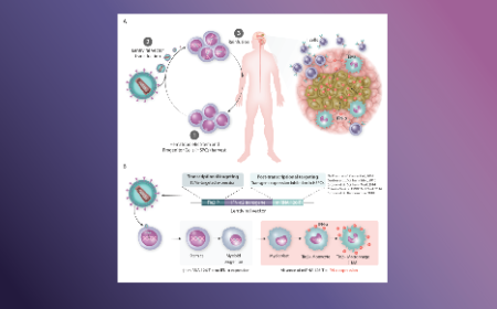 Temferon™, an <em>ex-vivo</em> genetically modified cell therapy aiming to fill the gaps for solid tumor immunotherapy