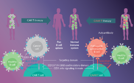 Engineering precision cell therapy for immune-mediated disease