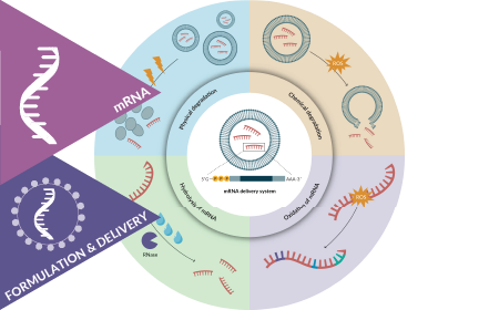 Challenges and advances of the stability of mRNA delivery therapeutics