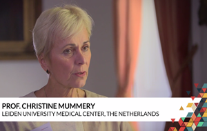 Harnessing the power of cardiac stem cells – Elisa Manzotti speaks with Prof. Christine Mummery