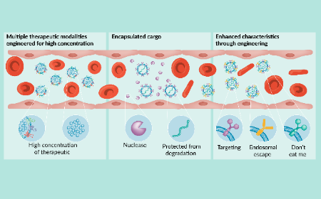 Engineered exosomes: a transformative therapeutic modality