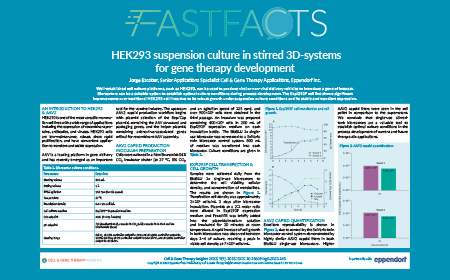 HEK293 suspension culture in stirred 3D-systems for gene therapy development