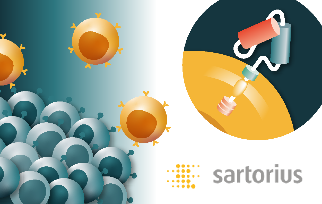 Gaining critical characterization insights for development of CAR-T therapies for solid tumors