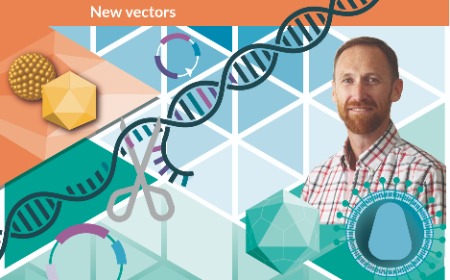 Update on new viral vector strategies in gene therapy