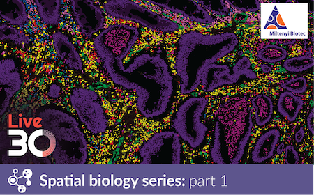 Spatial biology at its best – a complete workflow solution to advance immuno-oncology