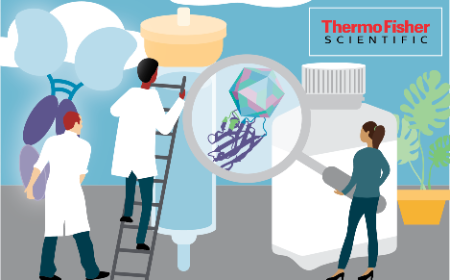 Overcoming purification challenges in antibody therapeutics manufacturing with subdomain-specific affinity solutions