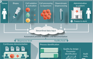 Streamlining data management & process analytics for the manufacturing of cell & gene therapies