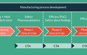 Manufacturing process development of ATMPs within a regulatory framework for EU clinical trial & marketing authorisation applications