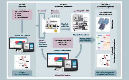 Personalization in advanced cellular ImmunoTherapeutics: activities in Ireland