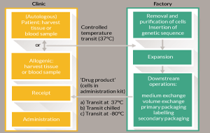 Centralized or decentralized manufacturing? Key business model considerations for cell therapies