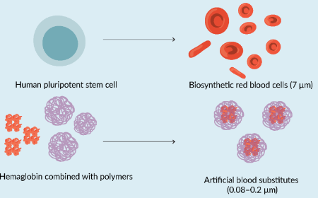 Thinking ahead: developing biosynthetic blood to anticipate donor drought