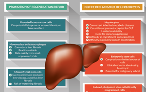 Advances and challenges of successful cell therapies for liver disease