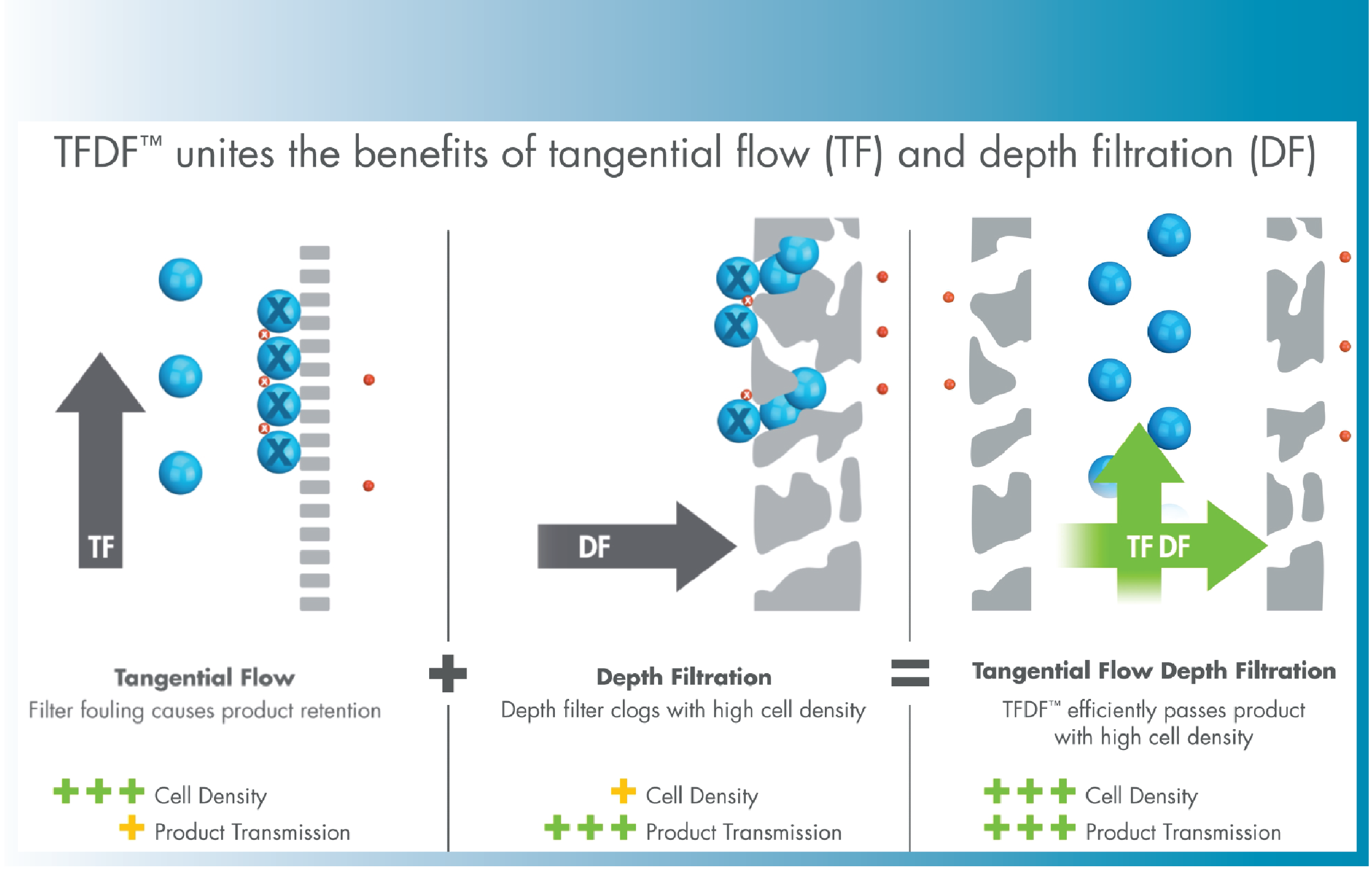 Lentiviral vector manufacturing process enhancement utilizing TFDF<sup>™</sup> technology