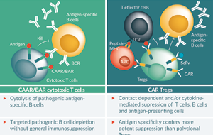 Advances in Targeting CAR-T Therapy for Immune-Mediated Diseases