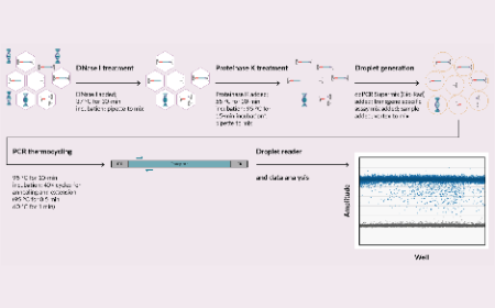 Optimizing ddPCR assay for characterizing AAV vector genome integrity 