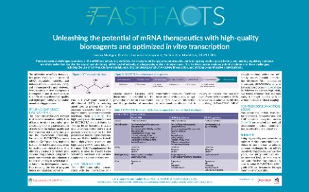  Unleashing the potential of mRNA therapeutics with high-quality  bioreagents and optimized <i>in vitro</i> transcription 