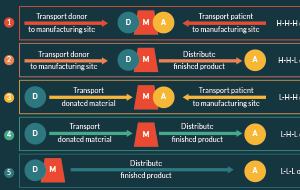 The Importance of Understanding & Designing Cellular Therapy Supply Chains
