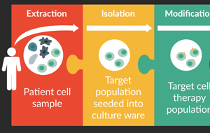 Automated Cell Expansion: Trends & Outlook of Critical Technologies