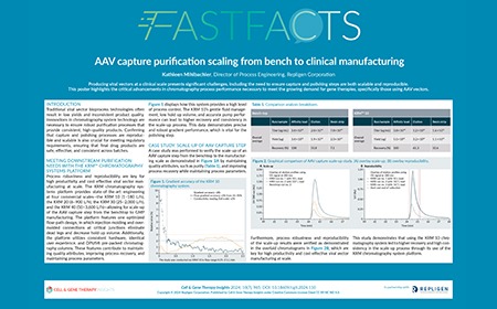 AAV capture purification scaling from bench to clinical manufacturing