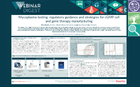 Mycoplasma testing: regulatory guidance and strategies for cGMP cell and gene therapy manufacturing