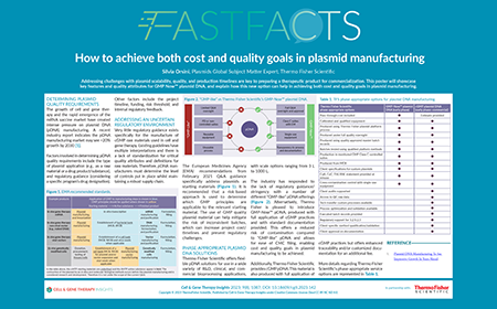 How to achieve both cost and quality goals in plasmid manufacturing