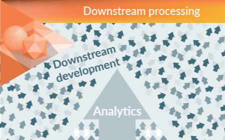 Enhancing AAV process quality and efficiency: three case studies highlighting the benefits of upgraded analytics on downstream process development 