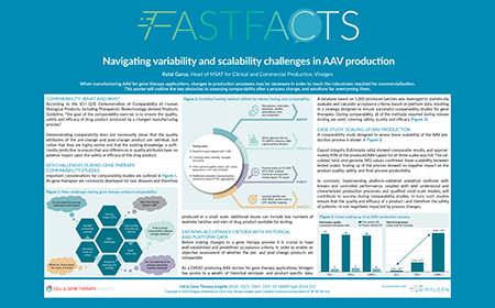  Navigating variability and scalability challenges in AAV production