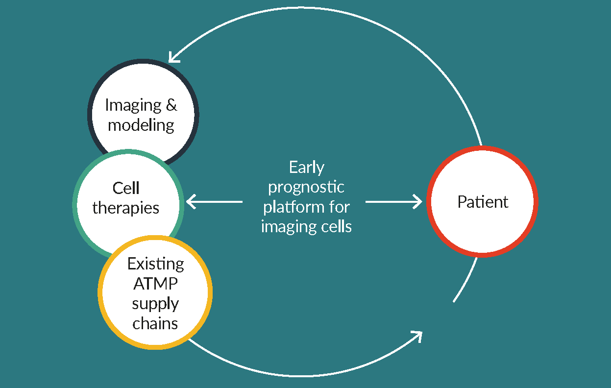 Broadly-applicable imaging platforms are necessary for optimizing cell therapies in solid tumors