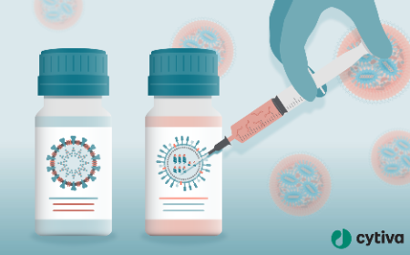 Optimized and scalable LNP composition for RNA vaccine delivery