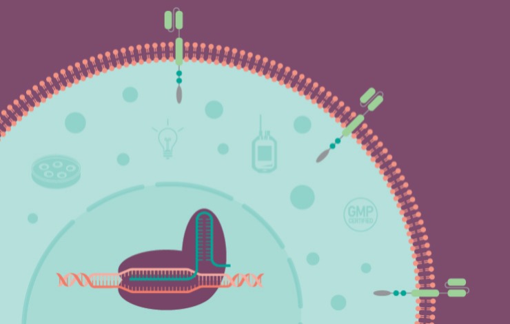 ﻿﻿Clinical-scale non-viral gene edited CAR-NK cells for cell therapy