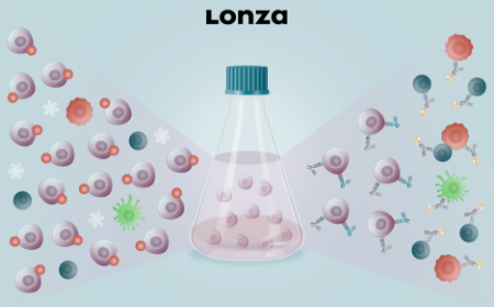 Comparing activation methods to yield clinical-scale expansion of gamma delta T cells