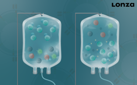 ﻿﻿Enhancing CAR-T therapy development: harnessing cell selection flexibility