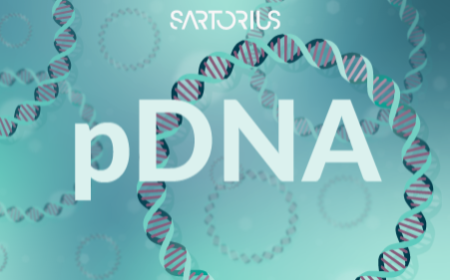 Enhancing pDNA production for gene therapy: BioNTech