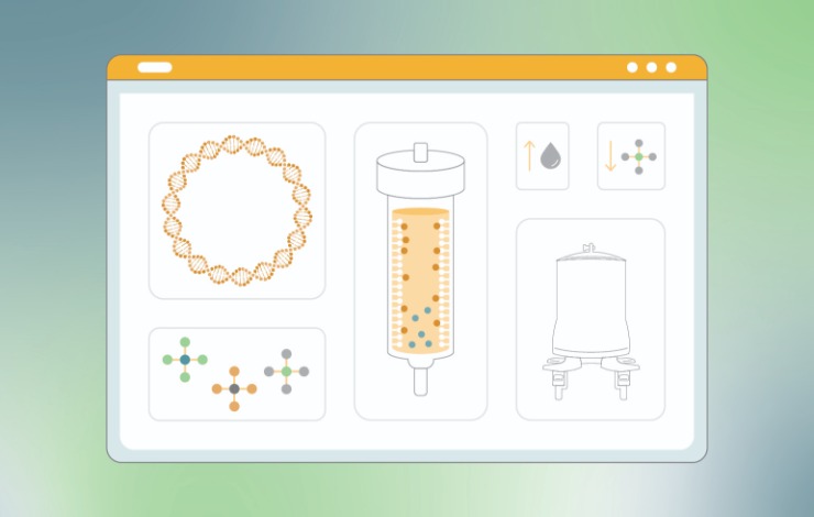 Implementation of an improved platform for downstream processing of plasmid DNA