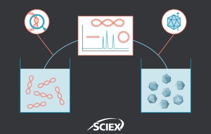 Application of CGE in cell and gene therapy