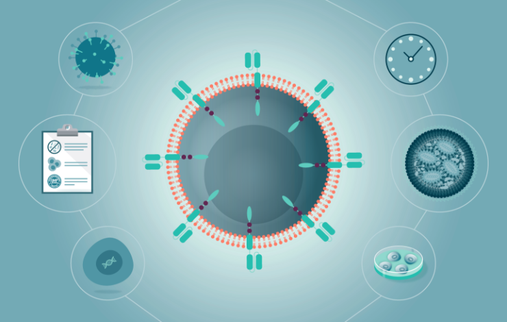 ﻿﻿Optimizing for the future: streamlining the production of T cell-based immunotherapies