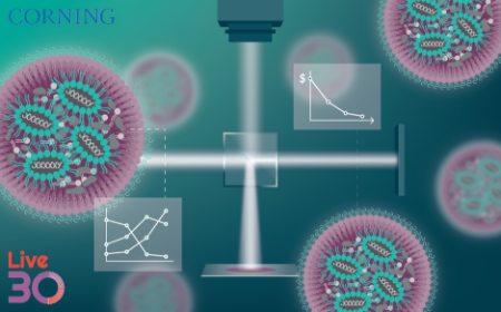 Interferometric light microscopy for rapid virus titering and characterization of lipid nanoparticle preparations  ﻿