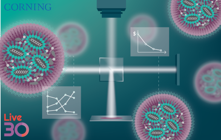 Interferometric light microscopy for rapid virus titering and characterization of lipid nanoparticle preparations  ﻿