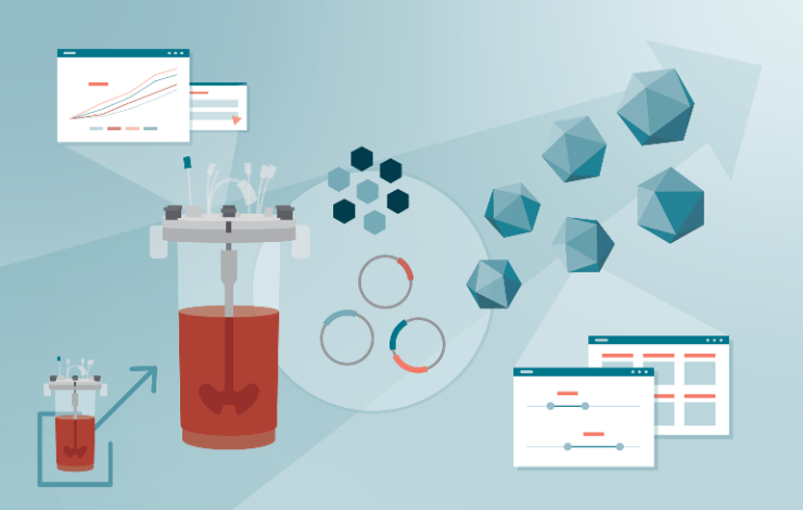 Accelerating AAV production: optimizing compound identification and process parameters