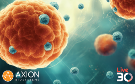 ﻿﻿Assessing CAR-T cell therapy in vitro using patient-derived glioblastoma organoids