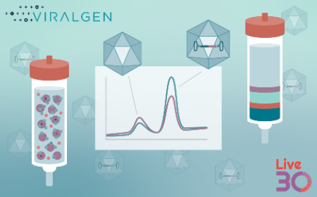 Comparing ultracentrifugation versus AEX for successful AAV purification