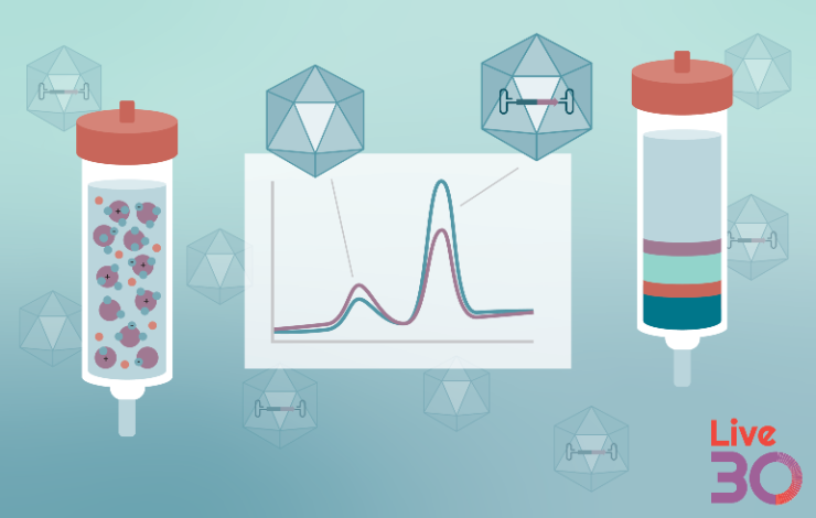 Comparing ultracentrifugation versus AEX for successful AAV purification