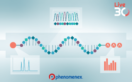 ﻿﻿mRNA characterization - from 5’ cap to poly (A): what IPRP-LC–MS can tell you﻿﻿﻿