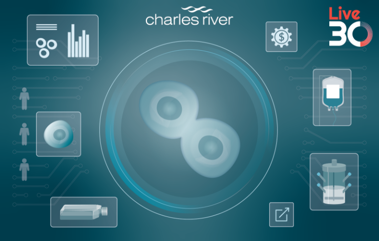 How to use AI and machine learning in cell therapy process development