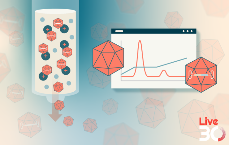 Advances in the separation and analysis of AAV-based gene delivery vectors