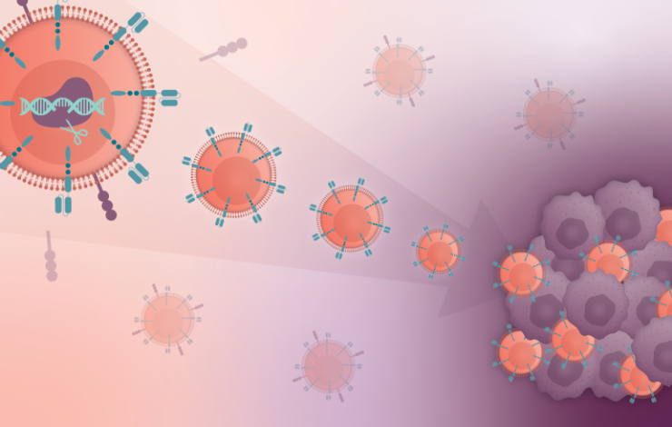 Enhancing CAR-T efficacy for targeting lymphoma and solid tumors