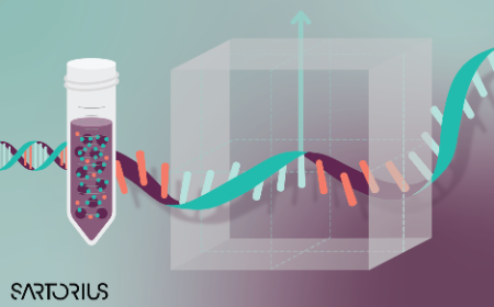 Quality by design in mRNA manufacturing: at-line monitoring coupled with DOE for higher IVT yield and efficiency of purification