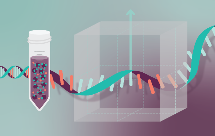 Quality by design in mRNA manufacturing: at-line monitoring coupled with DOE for higher IVT yield and efficiency of purification